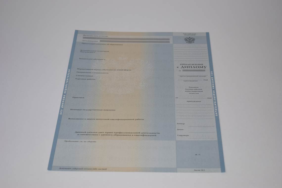 Диплом Магистра с 2003-2008 в Кирове приложение